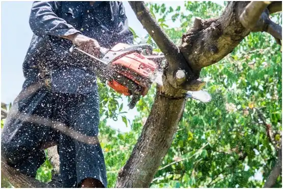 tree services Gardendale